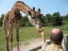 Virginia Zoo
