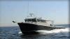 Fish Fear Us Charters