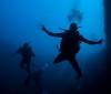 Bahama Divers