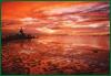 Caribbean Discovery Tours 