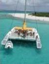 Scoobidoo Catamaran