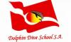 Dolphin Dive School 