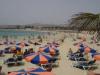 Fuerteventura Poolside Holidays