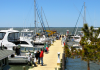 Beach Haven Yacht Club Marina