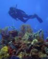 Tropicasub  Diving Center