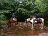 Cantref Adventure Farm