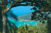Whitsunday Organic Bed and Breakfast