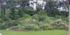 Barnhill Rock Garden