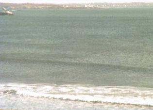 Narragansett webcam - Warm Winds Surf Shop webcam, Rhode Island, Washington County