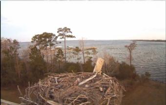 Orange Beach webcam - Wolf Bay webcam, Alabama, Baldwin County