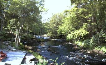 Caledonia webcam - Mersey River Chalets and Nature Retreat webcam, Nova Scotia, Nova Scotia