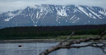 Katmai National Park webcam - Brooks Camp, Katmai National Park webcam, Alaska, Kenai Peninsula