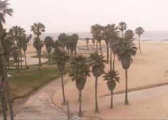 Venice webcam - Venice Beach, Los Angeles webcam, California, Los Angeles County