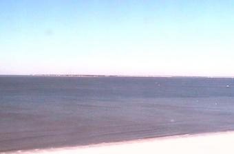 Fort Myers webcam - Pink Shell Resort and Marina webcam, Florida, Lee County