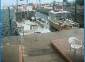 Key West webcam - Key West Dock webcam, Florida, Monroe County