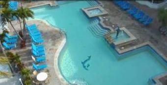 Key Largo webcam - Marriott Key Largo Bay Resort webcam, Florida, Monroe County