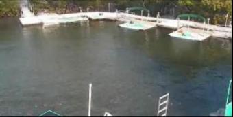 Key Largo webcam - Dolphin Cove webcam, Florida, Monroe County