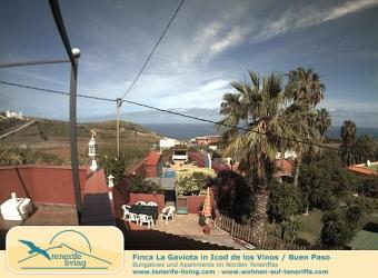 Icod de los Vinos webcam - Icod de los Vinos webcam, Canary Islands, Santa Cruz de Tenerife