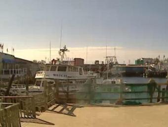 Gloucester webcam - 7 Seas Whale Watch webcam, Massachusetts, Essex County