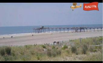 Avalon webcam - Avalon Fishing Pier webcam, New Jersey, Cape May County