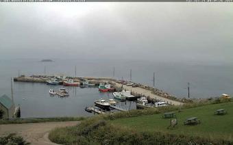 Tancook Island webcam - Tancook Island Wharf webcam, Nova Scotia, Lunenburg County