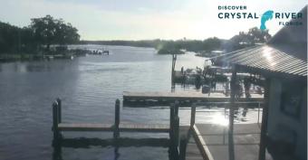 Crystal River webcam - Macrae's Boat Ramp webcam, Florida, Citrus County