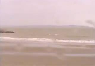 Royan webcam - Pontaillac Plage - Royan webcam, Bay of Biscay, Charente-Maritime