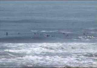 Virginia Beach webcam - Surfline 1st Street Jetty - Virginia Beach webcam, Virginia, Hampton Roads