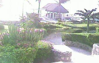 Playa del Carmen webcam - Xaman Ha Garden webcam, Quintana Roo, Solidaridad