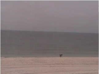 Gulf Shores webcam - Gulf Beach webcam, Alabama, Baldwin County