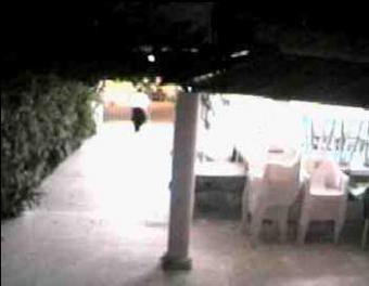 Cozumel webcam - Tony Rome's Restaurant webcam, Quintana Roo, Quintana Roo