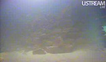 Klitmoller webcam - Vorupor Underwater webcam, Nordjylland, Klitmoller