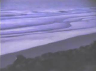 Carolina Beach webcam - Hot Wax Surf Shop webcam, North Carolina, New Hanover County