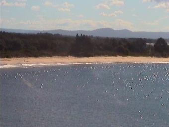 Mosman webcam - Whiting Beach webcam, New South Wales , North Shore