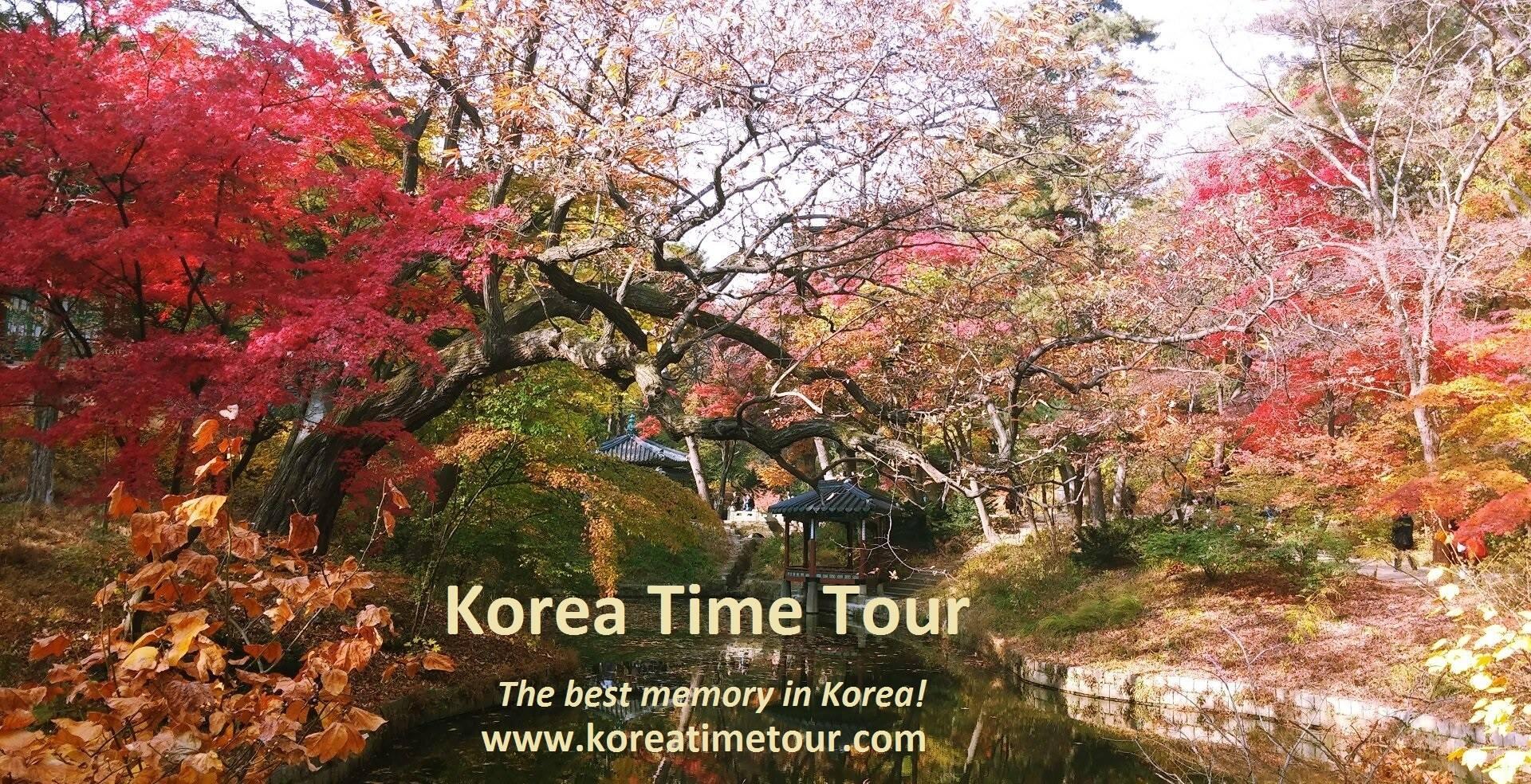 tour operator for south korea