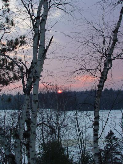 Sawmill Cabin Rental In Munising Alger County United States