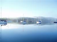 shearwater cruises arisaig