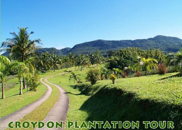 plantation tour montego bay