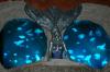 Keeping jellyfish as pets - Jellyfish Aquarium