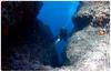 La Boa Charter and Diving