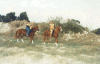 Bidnija Horseriding
