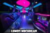 Limos Michigan
