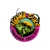 Iguana Surf