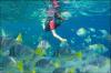 Snorkel en Cabo San Lucas - Cabo Excursions