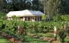 Mistletoe Vineyard