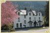 The Buckley Pines Hotel