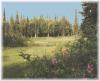 Kenai Golf Course