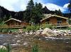 Riverview Pines
