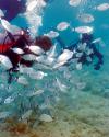 Discover Diving Cyprus Ltd., 