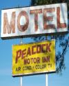 The Peacock Motor Inn